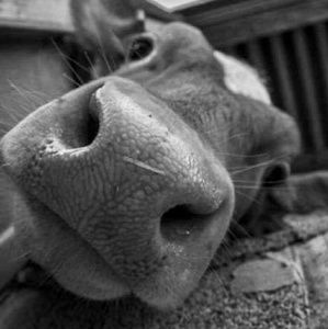 Meet your Posher, Claudia